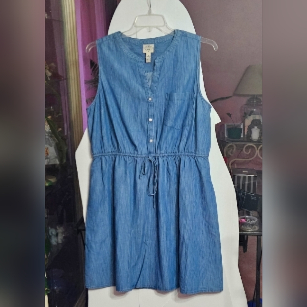 St. John's Denim sleeveless dress